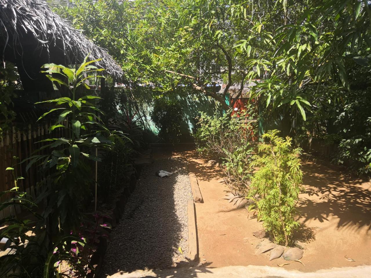 Alass Ga For Pets Lovers Trincomalee Extérieur photo