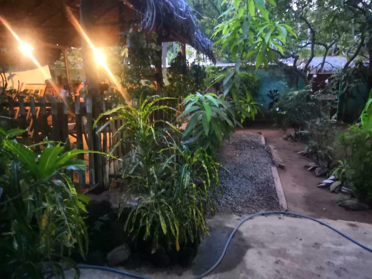 Alass Ga For Pets Lovers Trincomalee Extérieur photo