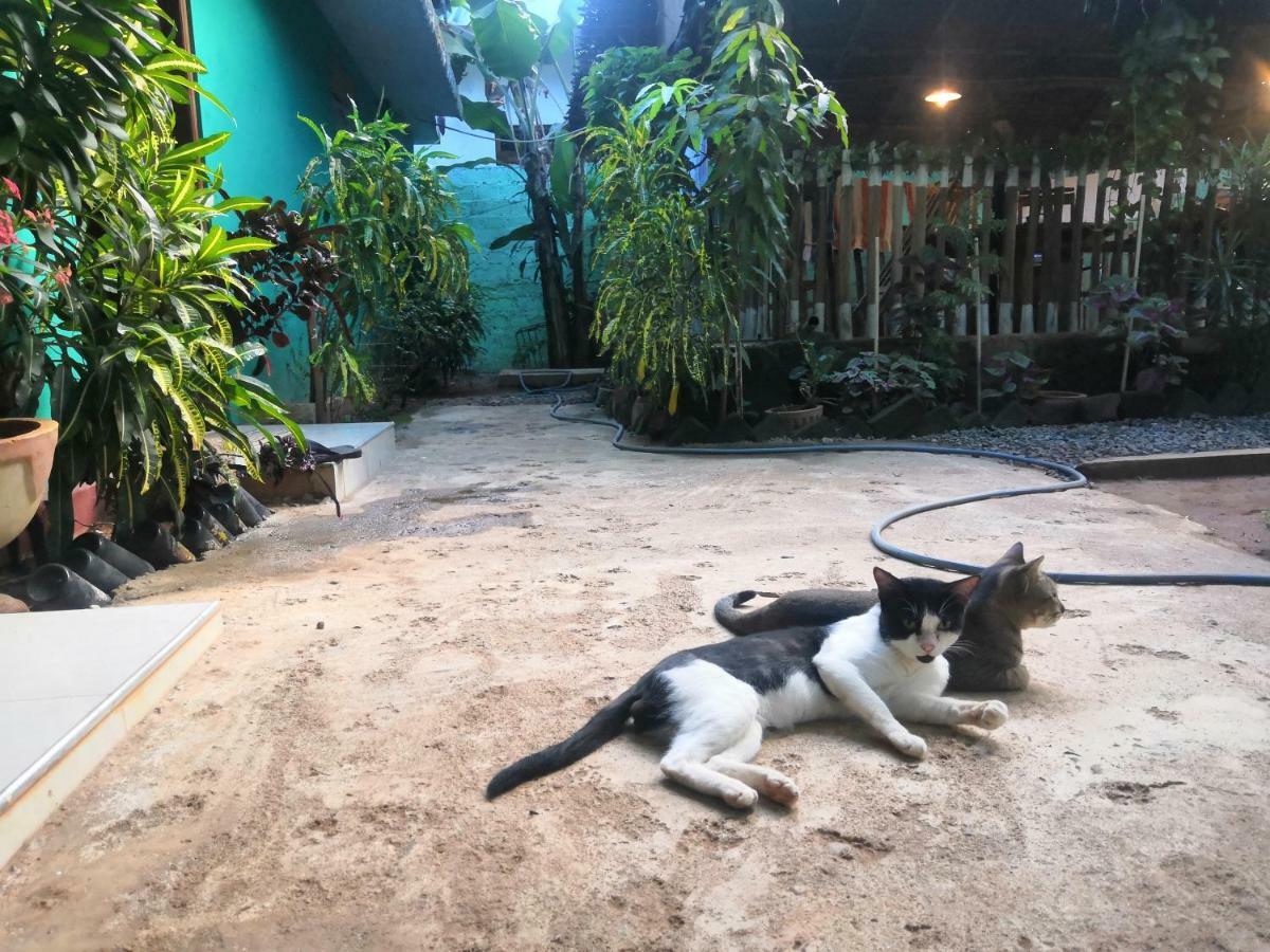 Alass Ga For Pets Lovers Trincomalee Extérieur photo